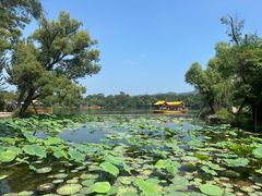 -承德避暑山庄景区