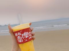 -南澳岛打卡果汁冰公司