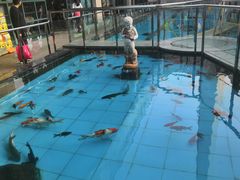 -陕西自然博物馆