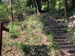 -青龙山国家森林公园
