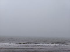 -日照海滨国家森林公园