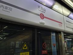 -大龙山(地铁站)