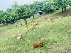-西安秦岭野生动物园