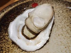-鸽子窝(宋庄店)
