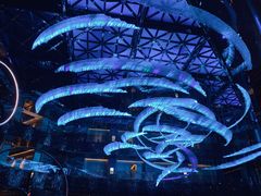 -西安W酒店·WEI全味西餐厅