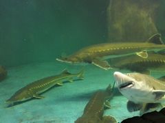 -多彩贵州城极地海洋世界