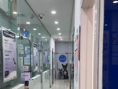 -芭比堂动物医院(广州爱宠下渡路分院)