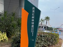 -宝安西湾红树林湿地公园