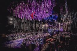 点击看大图 -上海雅居乐万豪侯爵酒店·宴会厅