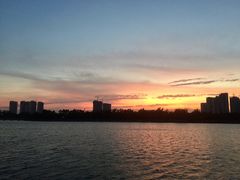 -五缘湾湿地公园