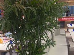 -三江源活鱼现烤(维多利摩尔城店)