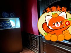 -Xcape异时刻密室逃脱魔法互动(瑞虹天地太阳宫店)