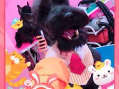 -全心全意连锁动物医院·特色中医诊疗(会城门分院)