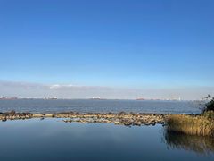 -上海吴淞炮台湾国家湿地公园