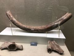 -呼伦贝尔民族博物馆