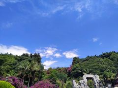 -大理洱海
