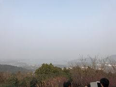 -香雪海