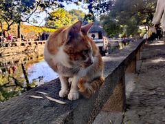 -西园戒幢律寺