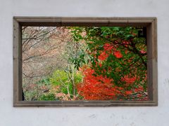 -秋霞圃