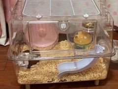 -龙猫仔乐园(惠福东路店)