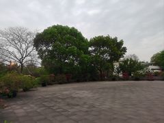 -上海滨江森林公园