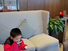 -苏州希尔顿酒店·园大堂吧