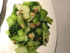 油渣上海青-韵秋荷(宝山龙湖天街店)