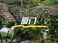 -狐尾山公园