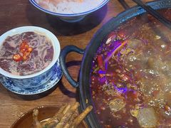 -楠火锅(仁恒梦中心店)