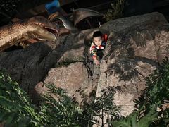 -陕西自然博物馆