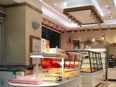 -蒲公英(五里店)