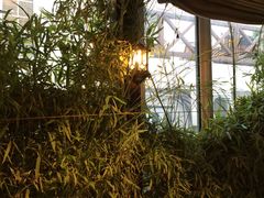 -慢丽江·云南野生菌土鸡锅(付家庄店)