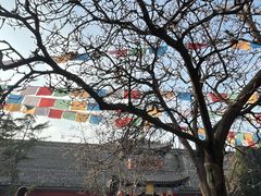 -西安市广仁寺