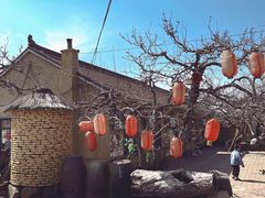 -老村长农家院