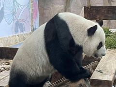 -无锡动物园·太湖欢乐园