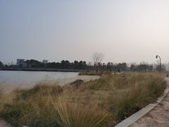 -三垟湿地