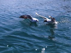 -丽江泸沽湖景区