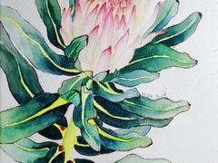 -六出私塾LiuChu•成人美术书法系统课程专业画室(熊婆婆的花园店)