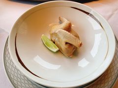 -子福慧(虹桥店)