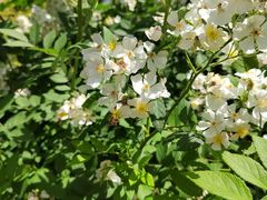-南阳卧龙岗武侯祠