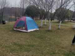 -贡湖湾湿地公园