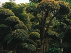 -南京东郊国宾馆