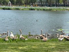 -长春市南湖公园