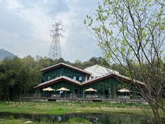 -西湖风景区-江洋畈生态公园