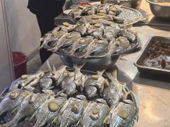 -车头老二大排档(金城步行街店)