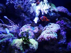 -成都浩海立方海洋公园