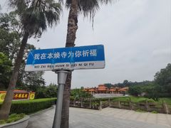 -三水森林公园