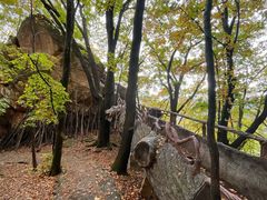 -五女峰国家森林公园