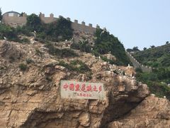 海驴岛-海驴岛(荣成市)