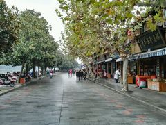 -溪口-滕头旅游景区